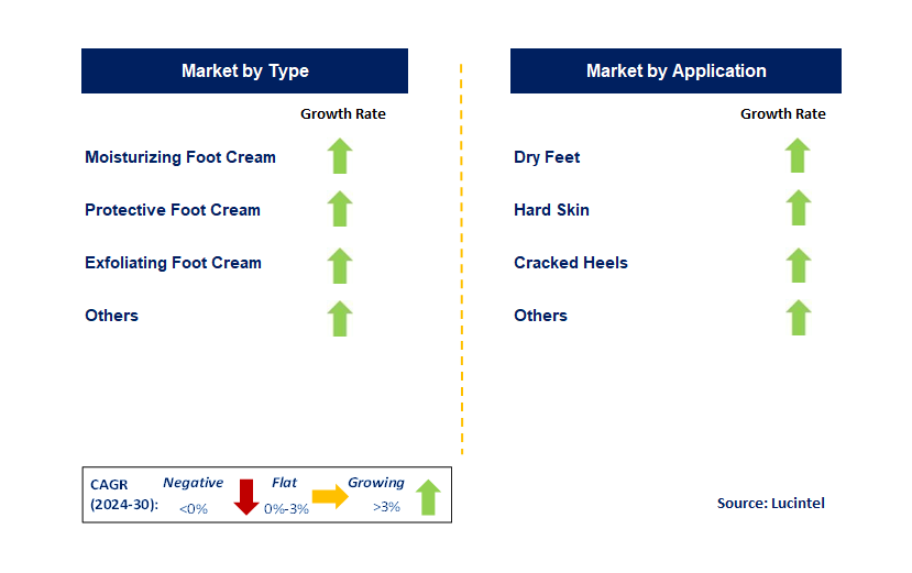 Foot Cream & Lotion by Segment